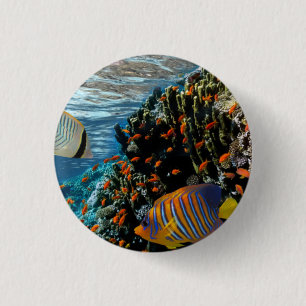 Chapa Redonda De 2,5 Cm Arrecife de coral con coral de fuego y peces exóti