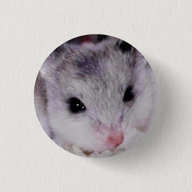 Chapa Redonda De 2,5 Cm babyham (Anverso)