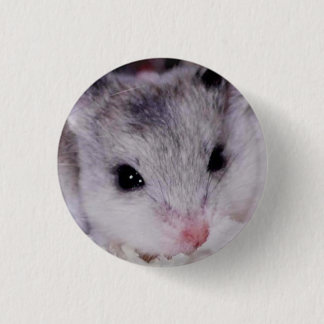 Chapa Redonda De 2,5 Cm babyham