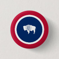 Bandera Wyomingita, Bandera de Wyoming