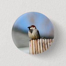 Chapa Redonda De 2,5 Cm Bird