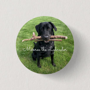 Chapa Redonda De 2,5 Cm Black Lab with two sticks Dog Photo and Name