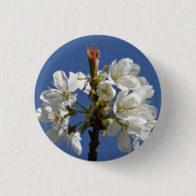 Chapa Redonda De 2,5 Cm Bloom de Primavera Blanca (Anverso)