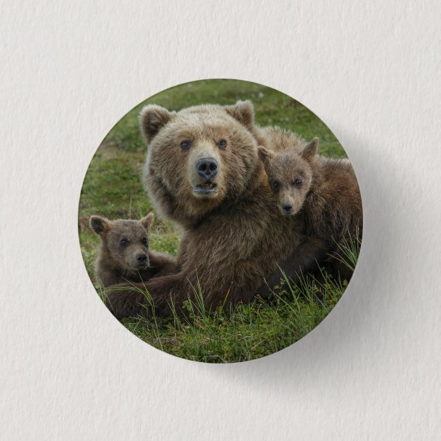 Chapa Redonda De 2,5 Cm Bocas de oso marrón acurrucadas con su madre (Anverso)