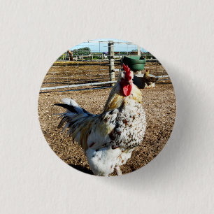 Chapa Redonda De 2,5 Cm Bolsa de cultivo, placa