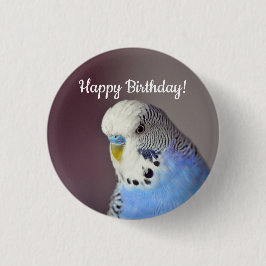 Chapa Redonda De 2,5 Cm Bonito Blue Budgie Photo Birthday