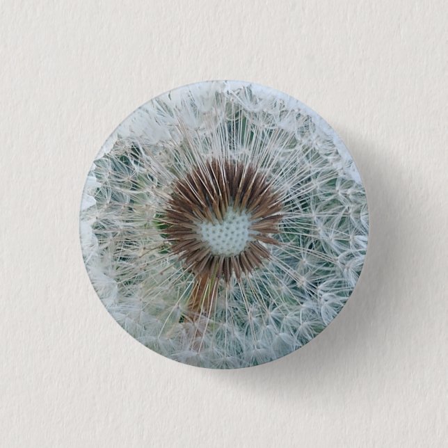 Chapa Redonda De 2,5 Cm Bonito Dandelion blanco (Anverso)