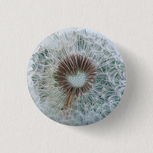 Chapa Redonda De 2,5 Cm Bonito Dandelion blanco