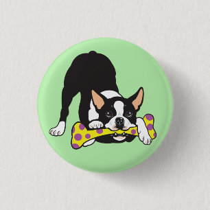 Chapa Redonda De 2,5 Cm Boston Terrier. Feliz