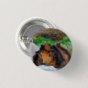 Chapa Redonda De 2,5 Cm Brindle, Rosette Guinea Lounging al aire libre