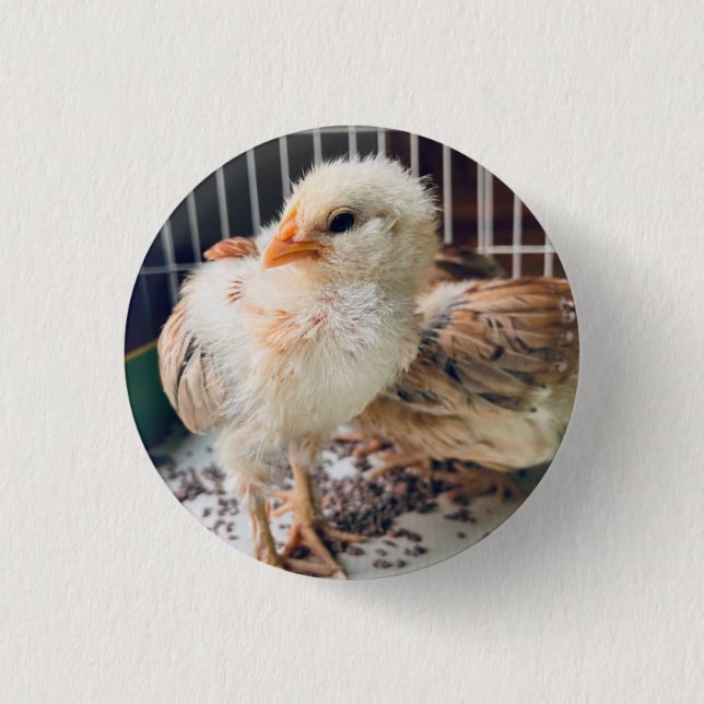 Chapa Redonda De 2,5 Cm Button Cute Baby Chick  (Anverso)