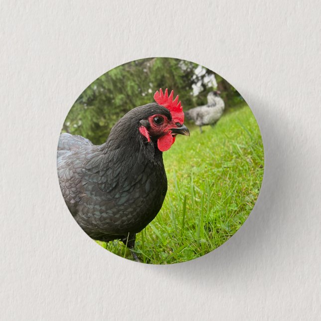 Chapa Redonda De 2,5 Cm Button Cute Rooster  (Anverso)
