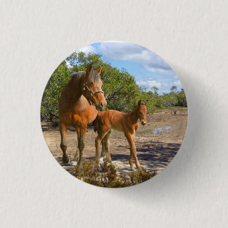 Chapa Redonda De 2,5 Cm Caballos
