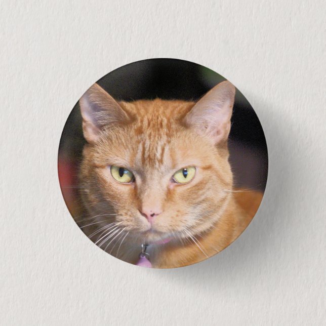 Chapa Redonda De 2,5 Cm Camiseta Cat (Anverso)