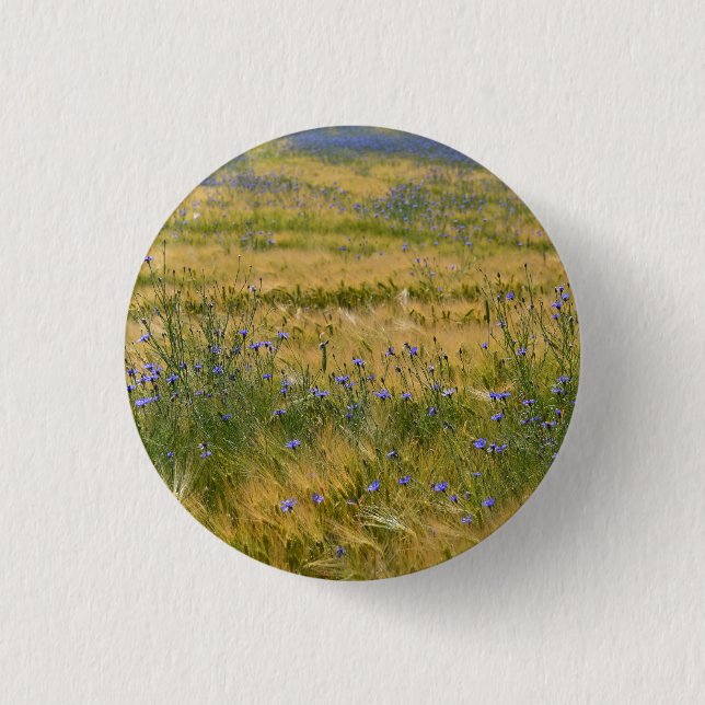 Chapa Redonda De 2,5 Cm Campo de acenorias      (Anverso)