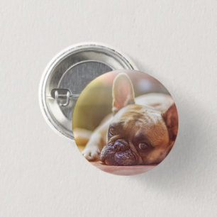 Chapa Redonda De 2,5 Cm Cara de Bulldog francesa, boca abajo
