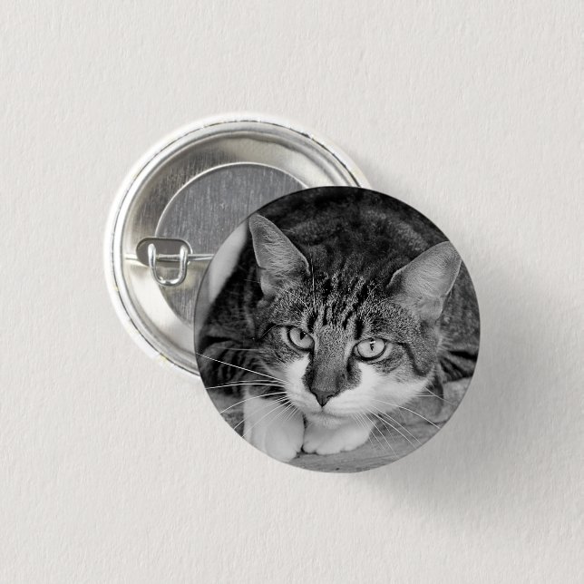 Chapa Redonda De 2,5 Cm Cara de gato blanco y tabby (Anverso y reverso)