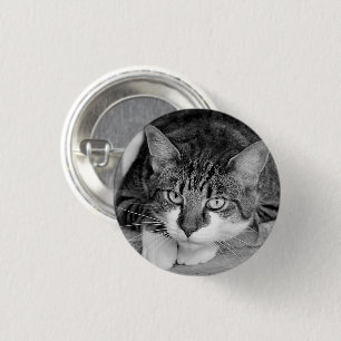 Chapa Redonda De 2,5 Cm Cara de gato blanco y tabby