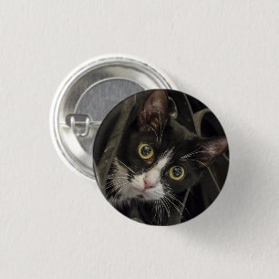 Chapa Redonda De 2,5 Cm Cara de gato de tuxedo de ojos anchos