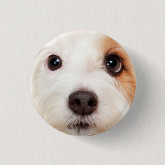 Chapa Redonda De 2,5 Cm Cara del perrito