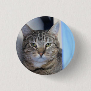 Chapa Redonda De 2,5 Cm Cat Ping Pong Ball