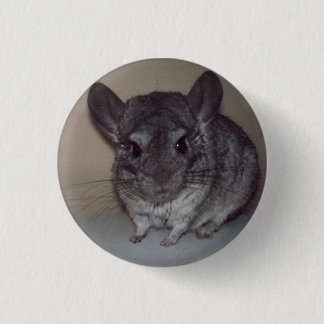 Chapa Redonda De 2,5 Cm Chinchilla