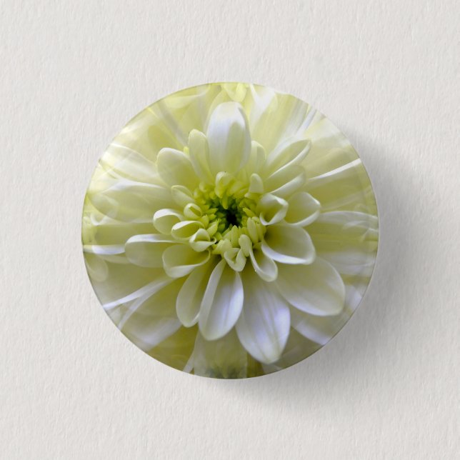 CHAPA REDONDA DE 2,5 CM CHRYSANTHEMUM (Anverso)