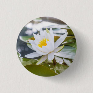 Chapa Redonda De 2,5 Cm Color blanco de flores de Lotus en el estanque
