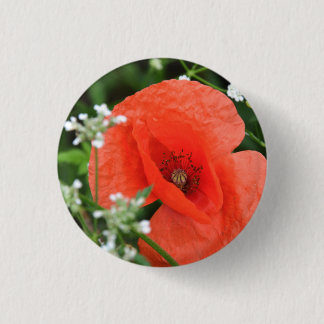 Chapa Redonda De 2,5 Cm Colorida flor de amapola de verano en vegeta verde