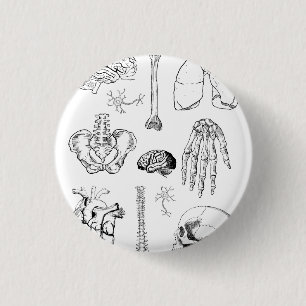 Chapa Redonda De 2,5 Cm Conjunto de ilustraciones médicas vintage de anato