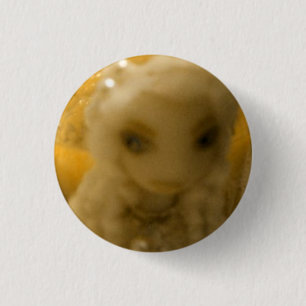 Chapa Redonda De 2,5 Cm Constance