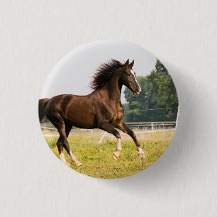 Chapa Redonda De 2,5 Cm Crea tu propia foto de caballo de mascota personal