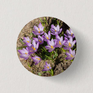 Chapa Redonda De 2,5 Cm Cruces elásticos