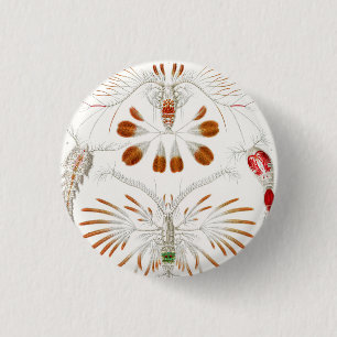Chapa Redonda De 2,5 Cm Crustáceos de Vida Marina, Copepoda por Ernst Haec