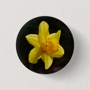 Chapa Redonda De 2,5 Cm Daffodil Badge