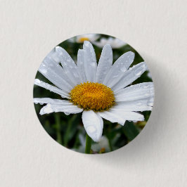 Chapa Redonda De 2,5 Cm Daisy Morning Dew