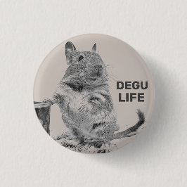 CHAPA REDONDA DE 2,5 CM ⊿ DEGU. ⊿