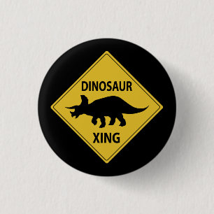 Chapa Redonda De 2,5 Cm Dinosaur Xing