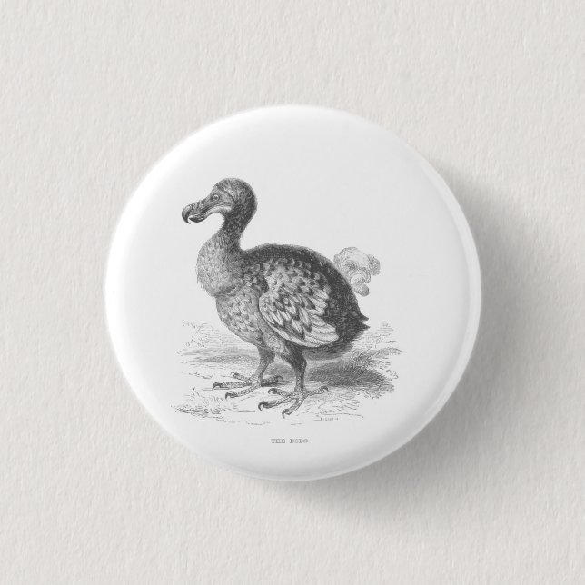 Chapa Redonda De 2,5 Cm Dodo Bird (Anverso)