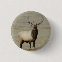Chapa Redonda De 2,5 Cm E46 Bull Elk Big Bull