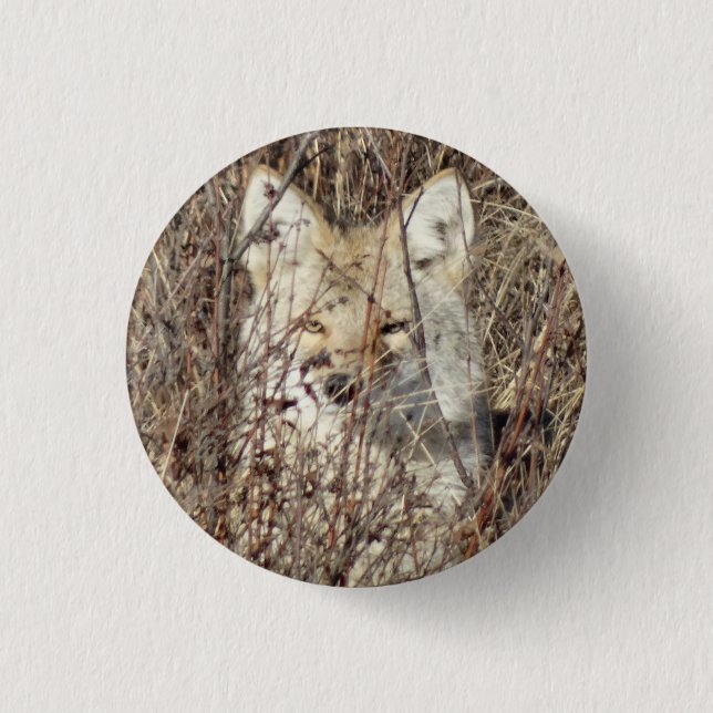 Chapa Redonda De 2,5 Cm El coyote R21 que te vigila (Anverso)