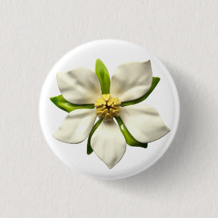 Chapa Redonda De 2,5 Cm Elegante Magnolia Blossom Flower Spring Wedding MC