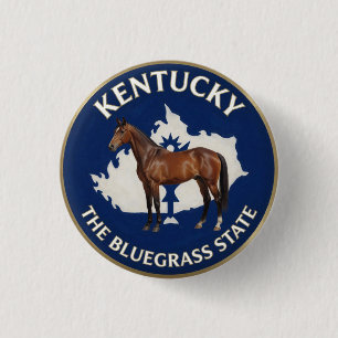 Chapa Redonda De 2,5 Cm Emblema del caballo del orgullo del estado de Kent