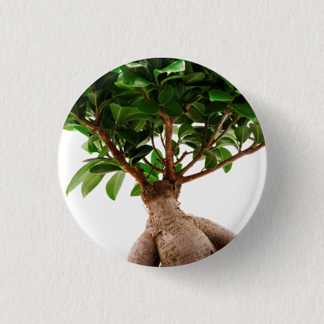 Chapa Redonda De 2,5 Cm Ficus Ginseng (Anverso)