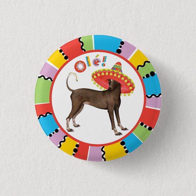 Chapa Redonda De 2,5 Cm Fiesta Xolo (Anverso)