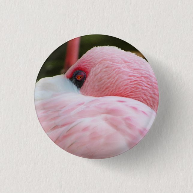 Chapa Redonda De 2,5 Cm Flamingo (Anverso)