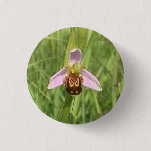 Chapa Redonda De 2,5 Cm Flor de orquídeas de abee