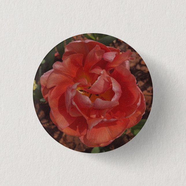 Chapa Redonda De 2,5 Cm flor roja (Anverso)