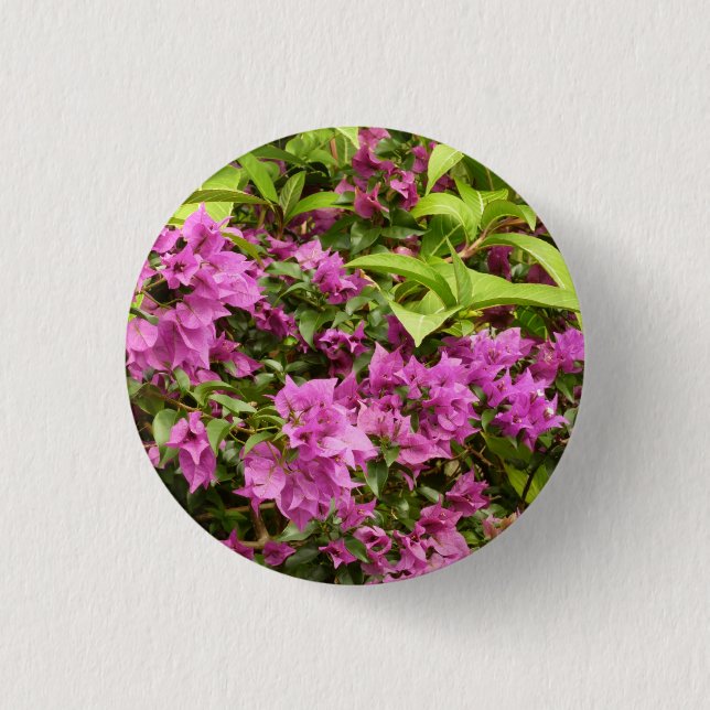 Chapa Redonda De 2,5 Cm Floral Tropical Morada Bougainvillea (Anverso)