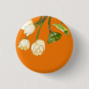 Chapa Redonda De 2,5 Cm Flores de naranja de Lotus amarillo y Lotus Seedpo